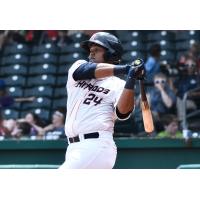 Bowling Green Hot Rods C Ronaldo Hernandez