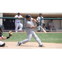 Dioner Navarro of the Long Island Ducks