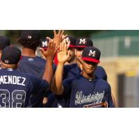 Mississippi Braves exchange high fives after a win