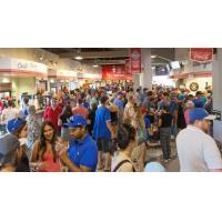 A crowd at Scotiabank Field