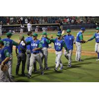 Lexington Legends celebrate the Southern Division Championship