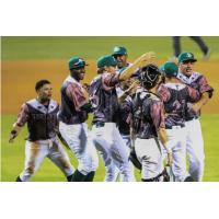 Daytona Tortugas celebrate a Game Three Win