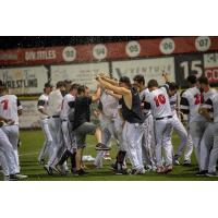 Washington Wild Things celebrate Championship Series berth