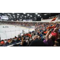 Fans enjoy a Flint Firebirds game