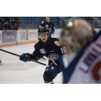 Saint John Sea Dogs rookie Josh Lawrence