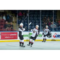 James Malm and the Vancouver Giants celebrate a goal