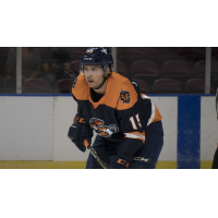 Greenville Swamp Rabbits defenseman J.C. Brassard
