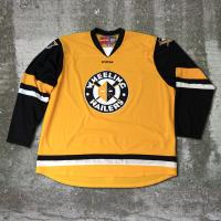 Wheeling Nailers alternate jersey