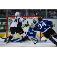 Milos Roman of the Vancouver Giants tests the Victoria Royals defense