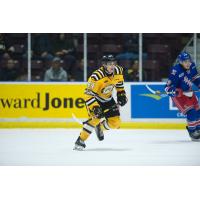 Sarnia Sting rookie forward Jacob Perreault