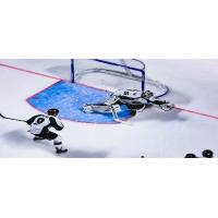 Utah Grizzlies goaltender Joe Cannata makes a save