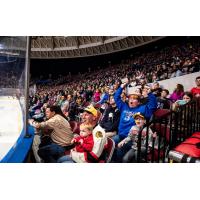 Norfolk Admirals fans enjoy the game