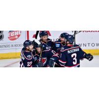 South Carolina Stingrays celebrate a goal