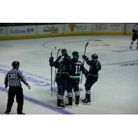 Maine Mariners celebrate a goal