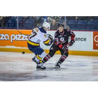 Niagara IceDogs vs. the Erie Otters