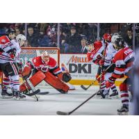 Niagara IceDogs face the Ottawa 67s