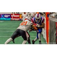 Receiver John Banks with the Florida Tarpons