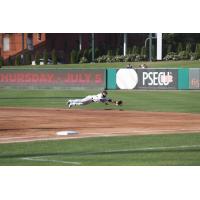 York Revolution second baseman Alexi Casilla