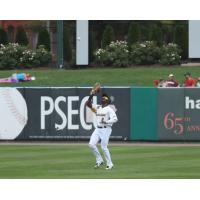 York Revolution outfielder Jared Mitchell