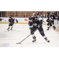 Nic Pierog of the Manchester Monarchs