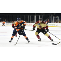 Greenville Swamp Rabbits vs. the Atlanta Gladiators