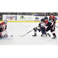 Sioux Falls Stampede forward Samuel Stevens gets off a shot against the Waterloo Black Hawks