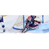 South Carolina Stingrays goaltender Parker Milner
