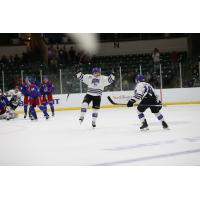Tri-City Storm celebrate a goal vs. the Des Moines Buccaneers