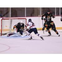 Macon Mayhem take a shot against the Fayetteville Marksmen