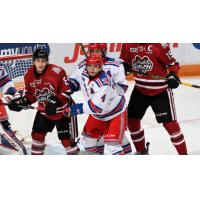 Kitchener Rangers vs. the Guelph Storm
