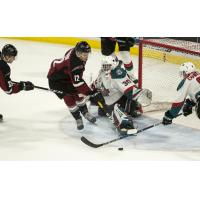 Vancouver Giants RW Cyle McNabb (12) against the Kelowna Rockets