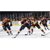 Greenville Swamp Rabbits vs. the Atlanta Gladiators