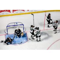 Utah Grizzlies celebrate a goal against the Rapid City Rush