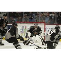 Vancouver Giants goaltender Trent Miner surveys his defenders