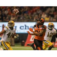 BC Lions receiver DeVier Posey vs. the Edmonton Eskimos
