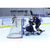 Norfolk Admirals forward Chris Crane celebrates a goal against the South Carolina Stingrays