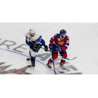 Saint John Sea Dogs vs. the Moncton Wildcats