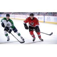 Adirondack Thunder forward John Edwardh vs. the Maine Mariners