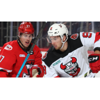 Charlotte Checkers vs. the Binghamton Devils