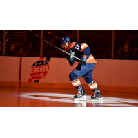 Greenville Swamp Rabbits forward Austen Brassard