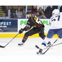 Cleveland Monsters LW Paul Bittner vs. the Milwaukee Admirals