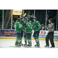 Florida Everblades celebrate a goal