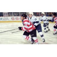 Adirondack Thunder forward Shane Conacher skates against the Worcester Railers