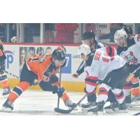 Lehigh Valley Phantoms C Mike Vecchione faces off with the Binghamton Devils