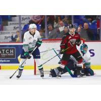 Dawson Holt of the Vancouver Giants vs. the Seattle Thunderbirds