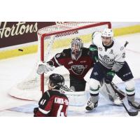 Vancouver Giants goaltender David Tendeck vs. the Seattle Thunderbirds
