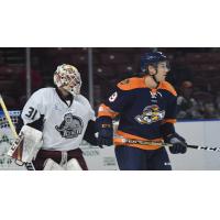 Greenville Swamp Rabbits vs. the Jacksonville IceMen