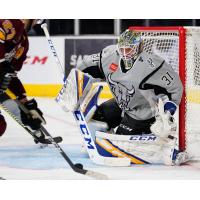 San Antonio Rampage goaltender Jordan Binnington stopped 25 shots against the Chicago Wolves for his 100th career win