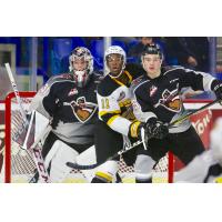 Vancouver Giants goaltender Trent Miner and defenseman Kaleb Bulych sandwich a member of the Brandon Wheat Kings