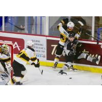 Bowen Byram of the Vancouver Giants boards a member of the Brandon Wheat Kings